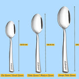 Kodenipr Club Stainless Steel Spoon Set for Tea, Sugar, Coffee, Spices, Spoon Set (Length 14.5cm, Set of 12)